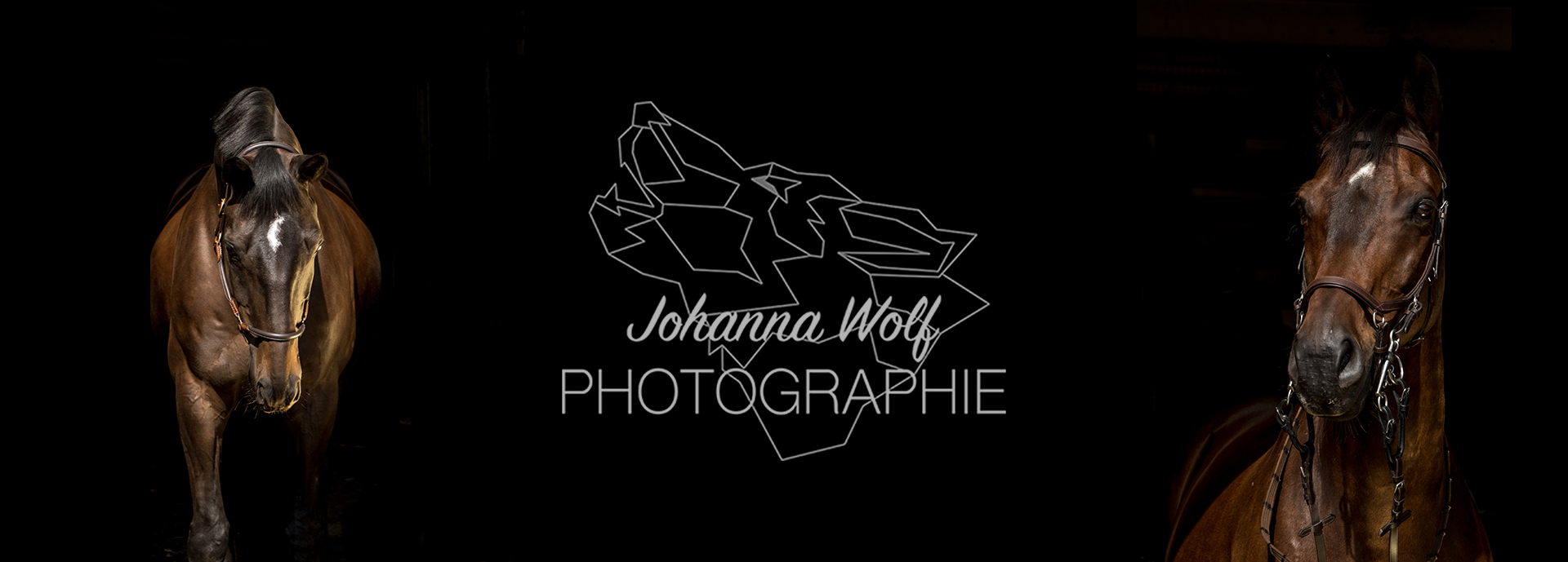 Johanna Wolf Photographie